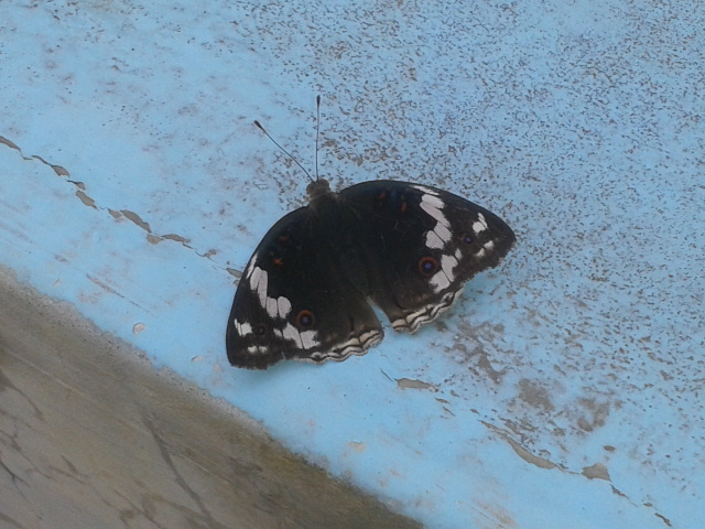 2016-01-19 07.17.45.jpg