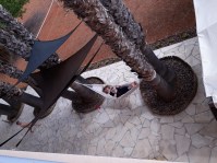 thumbnail_20180707_155724