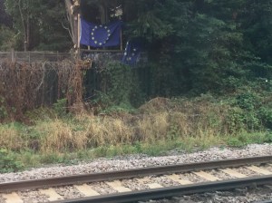 DE41D249-A1C8-4998-9F33-48AE4E2BE691