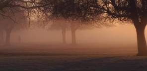 FB_IMG_1550258435130