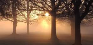 FB_IMG_1550258439792