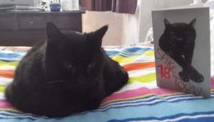 FB_IMG_1558199712159