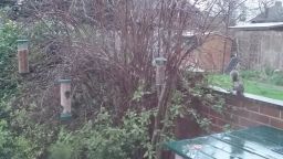 VideoCapture_20200315-193010